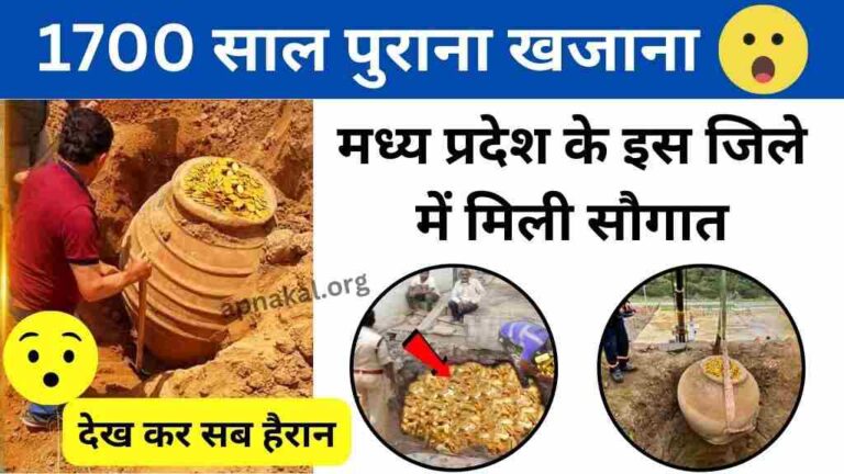 MP News: मध्य प्रदेश के इस जिले में मिला 1700 साल पुराना खजाना, कलेक्टर सहित ASI अधिकारी हैरान