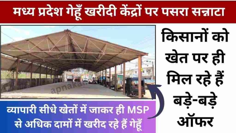 मध्य प्रदेश गेहूँ खरीदी केंद्रों पर सन्नाटा