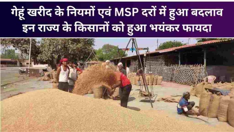 गेहूं खरीद के नियमों एवं MSP दरों में हुआ बदलाव
