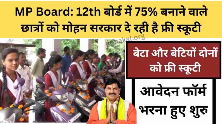 MP Board
