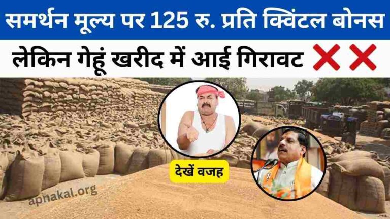 MP News: मध्य प्रदेश में समर्थन मूल्य पर 125 रुपये प्रति क्विंटल बोनस, लेकिन गेहूं खरीद में आई गिरावट